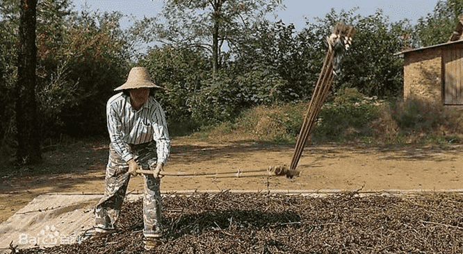 西方链枷强？《帝国时代3》告诉你：东方链枷骑兵伤害值更高