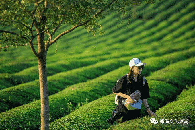 皖南这座自驾游客超爱的小城，秋天自带滤镜，迷倒无数老司机