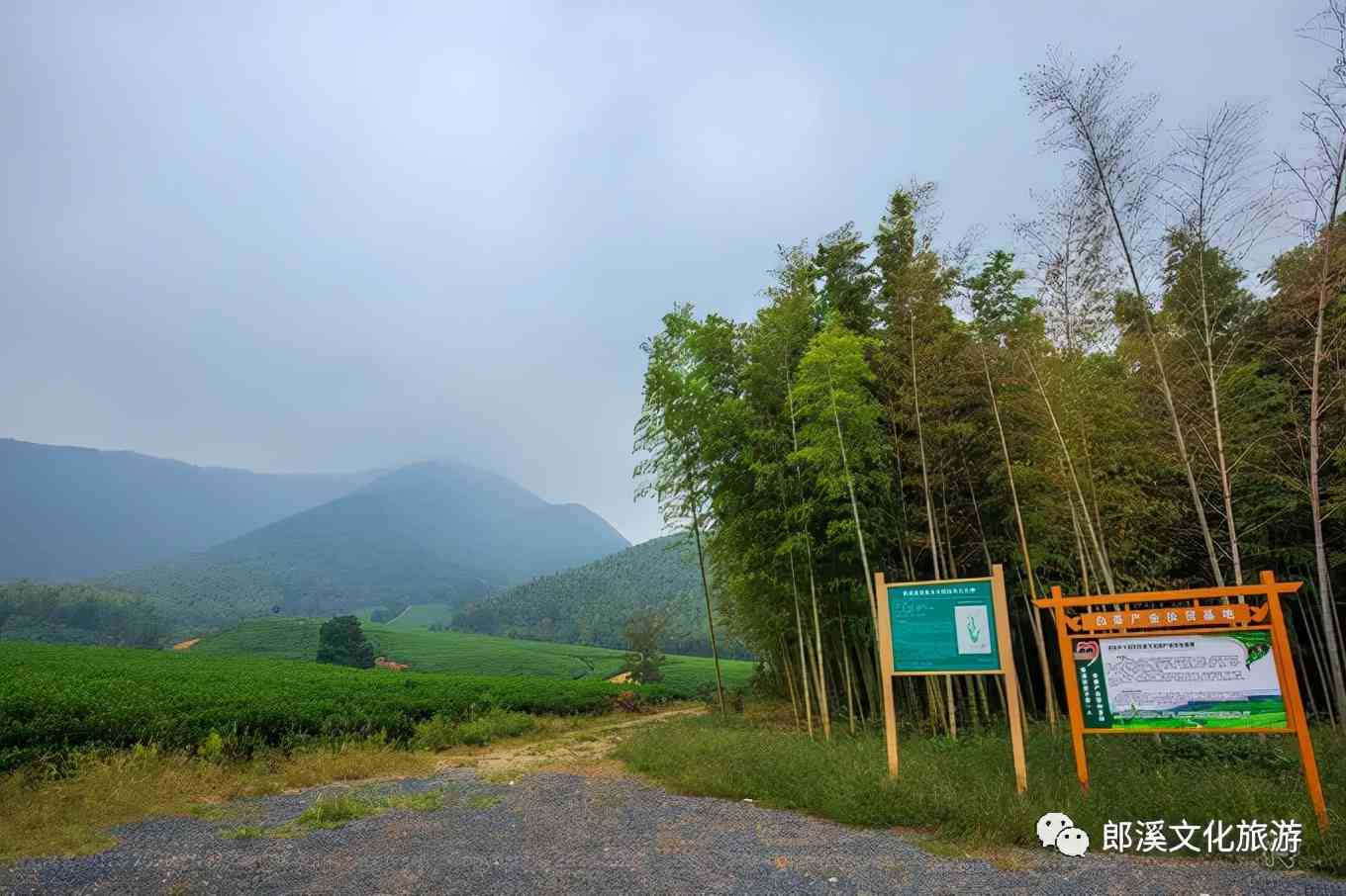 皖南这座自驾游客超爱的小城，秋天自带滤镜，迷倒无数老司机