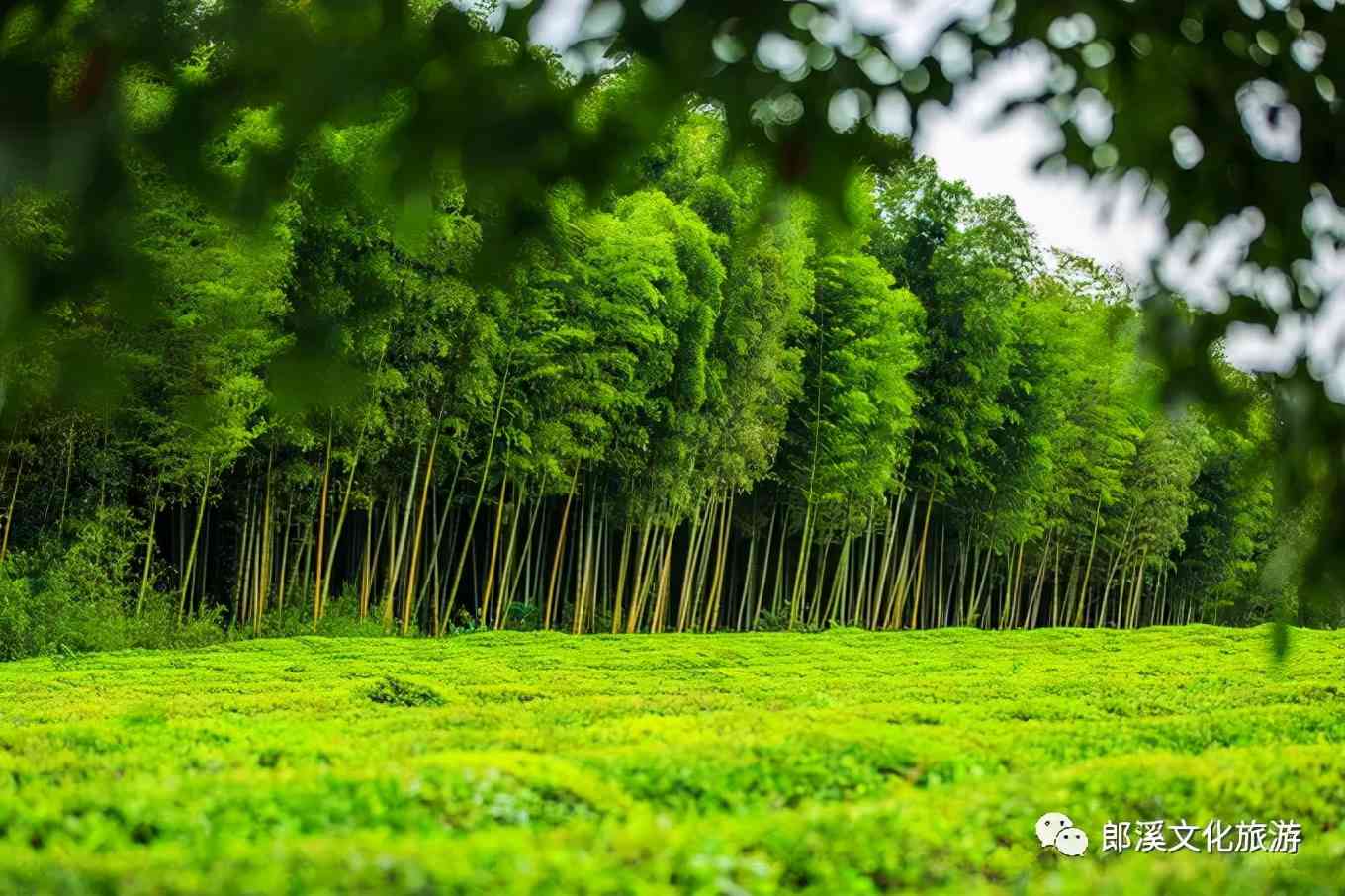 皖南这座自驾游客超爱的小城，秋天自带滤镜，迷倒无数老司机