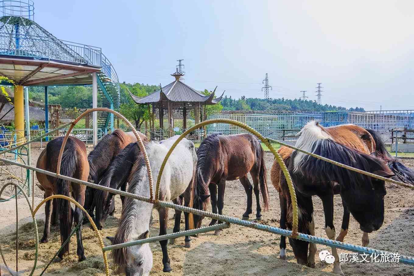 皖南这座自驾游客超爱的小城，秋天自带滤镜，迷倒无数老司机