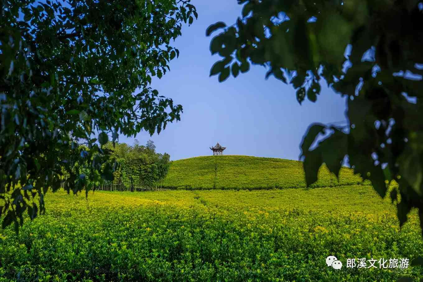 皖南这座自驾游客超爱的小城，秋天自带滤镜，迷倒无数老司机