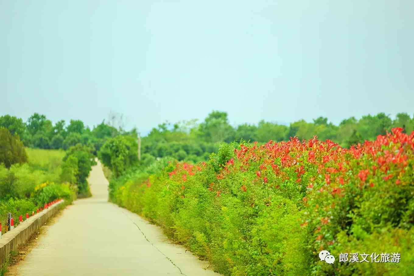 皖南这座自驾游客超爱的小城，秋天自带滤镜，迷倒无数老司机