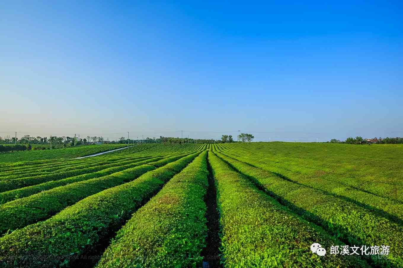 皖南这座自驾游客超爱的小城，秋天自带滤镜，迷倒无数老司机