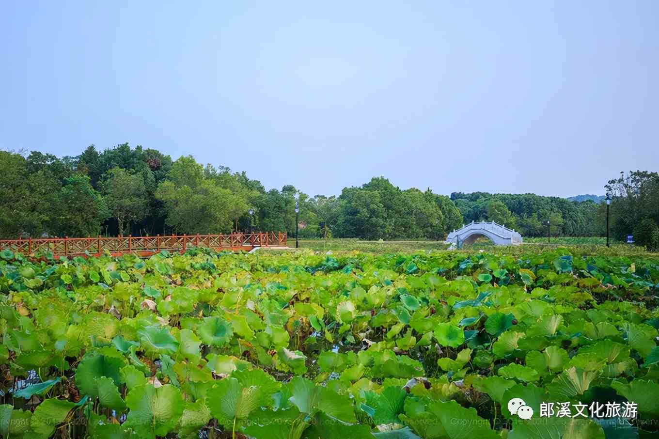 皖南这座自驾游客超爱的小城，秋天自带滤镜，迷倒无数老司机